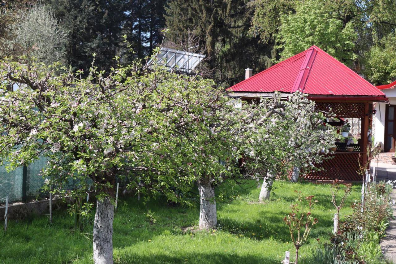הורזו Accommodation Casa Luca מראה חיצוני תמונה