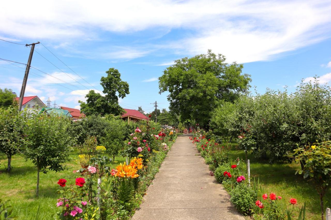 הורזו Accommodation Casa Luca מראה חיצוני תמונה